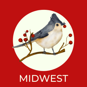 Bird image for midwest