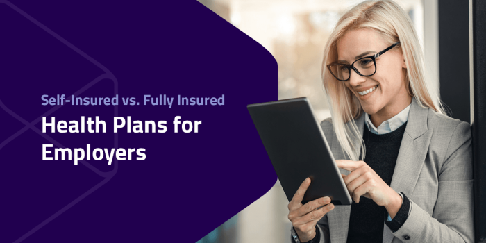 Self funded vs fully ensured health plans